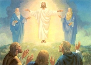 transfiguration2